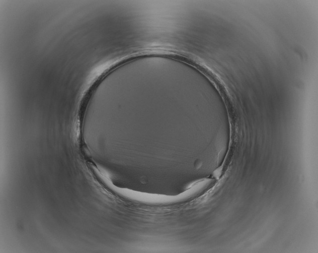 X0000110991461200907101420
