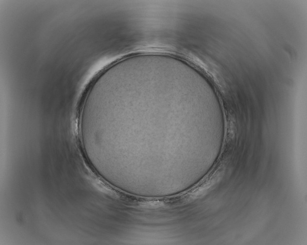 X0000110991462200907101420