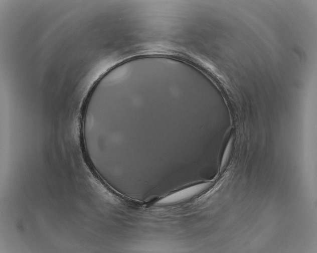 X0000110991463200907101420