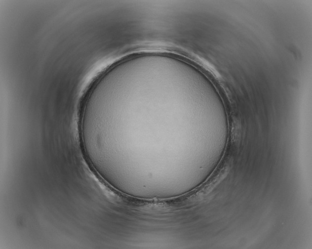 X0000110991464200907101420
