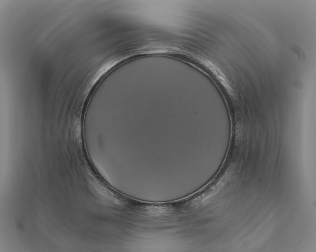 X0000110991465200907101420