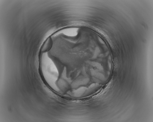 X0000110991467200907101420