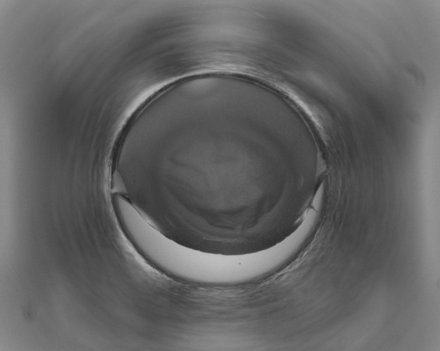 X0000110991468200907101420