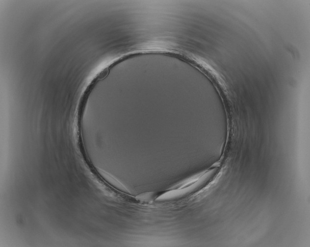 X0000110991469200907101420