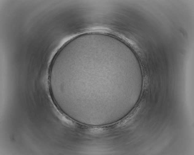 X0000110991470200907101420