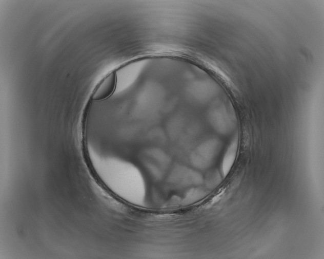 X0000110991471200907101420