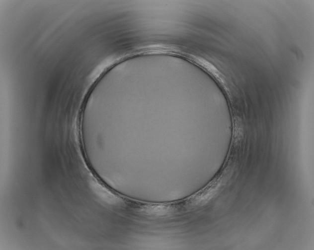 X0000110991474200907101420