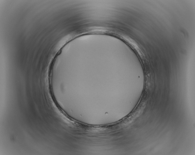 X0000110991475200907101420