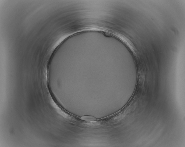 X0000110991476200907101420