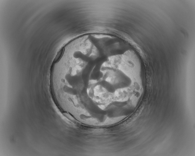 X0000110991479200907101420