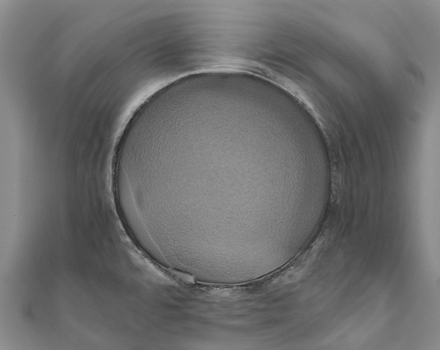 X0000110991480200907101420