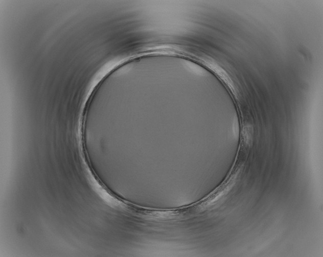 X0000110991482200907101420