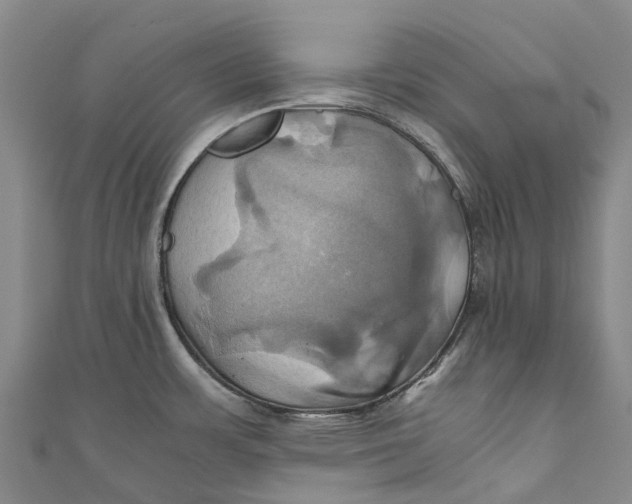 X0000110991483200907101420