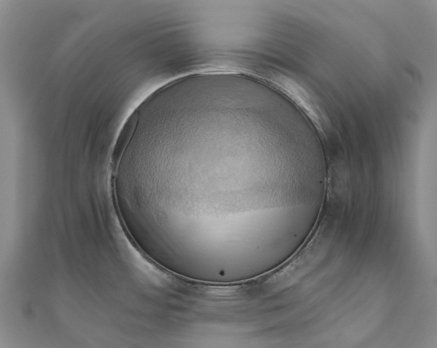 X0000110991484200907101420