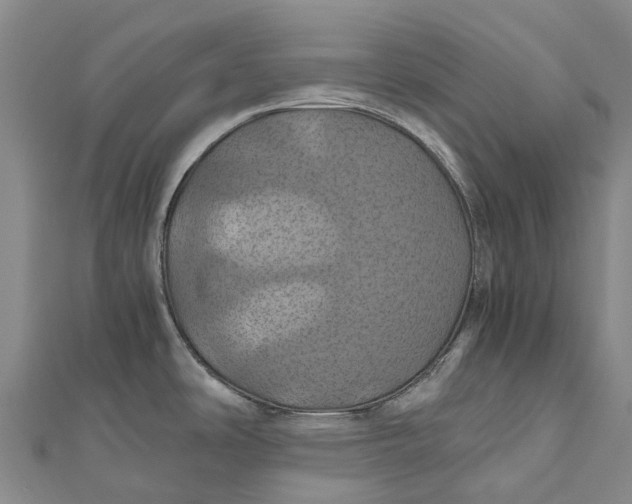 X0000110991486200907101420