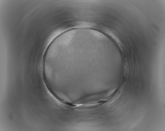 X0000110991487200907101420
