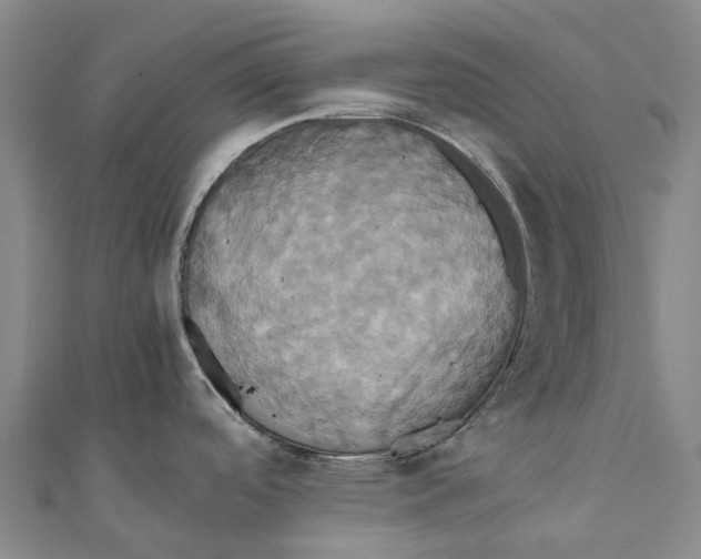 X0000110991488200907101420