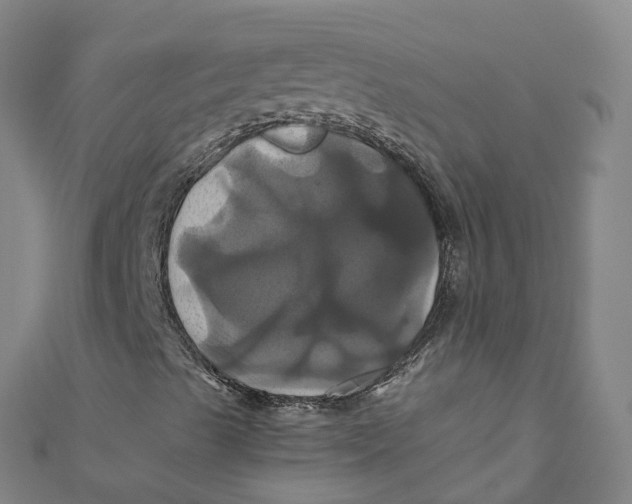 X0000110991489200907101419
