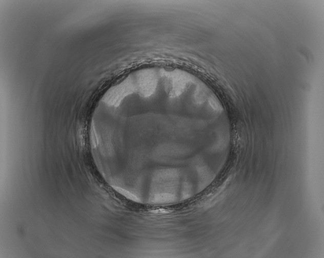 X0000110991490200907101419