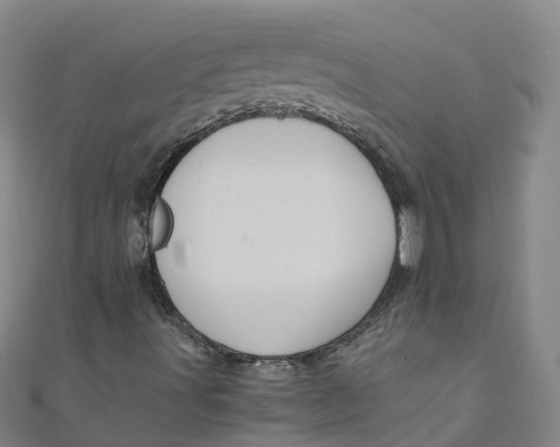 X0000110991491200907101419
