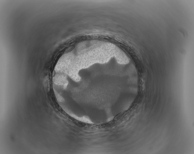 X0000110991493200907101420