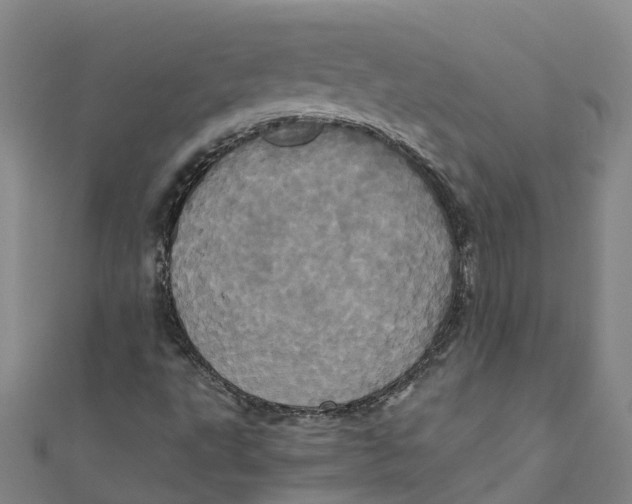 X0000110991495200907101420