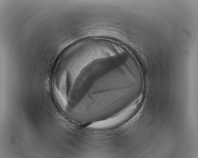 X0000110991497200907101420