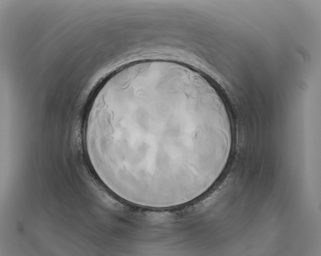 X0000110991498200907101420