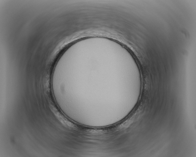 X0000110991499200907101420
