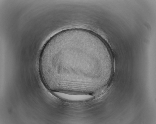 X0000110991500200907101420