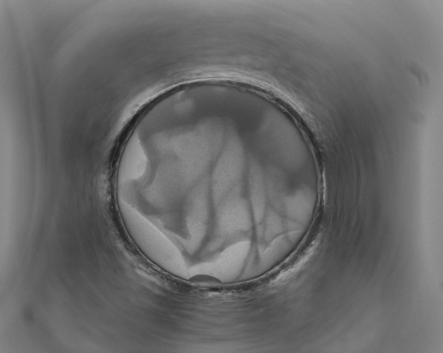 X0000110991501200907101420