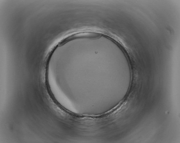 X0000110991504200907101420
