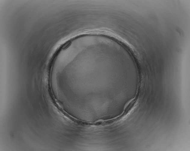X0000110991506200907101420