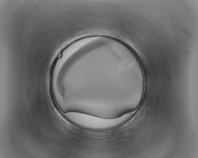 X0000110991508200907101420