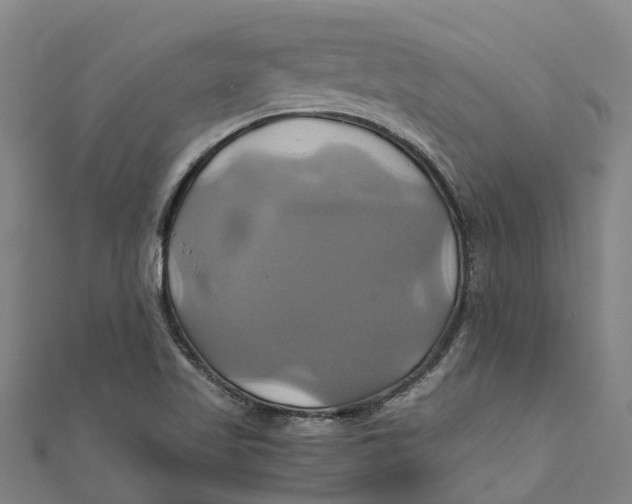X0000110991509200907101420