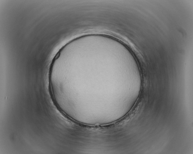 X0000110991512200907101420