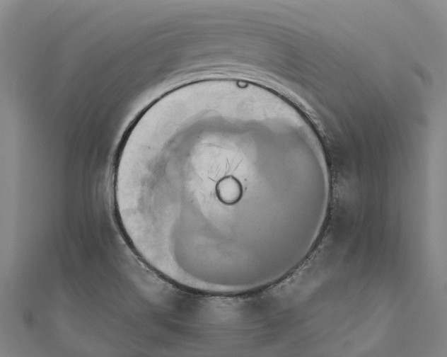 X0000110991514200907101420