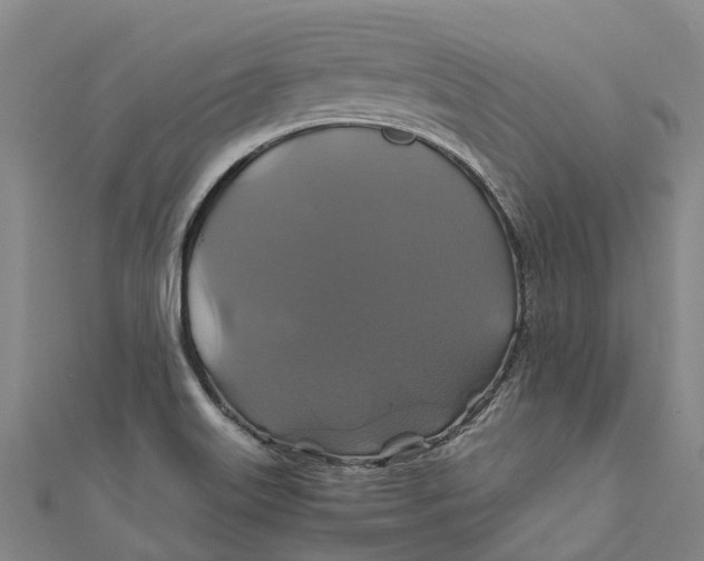 X0000110991515200907101420