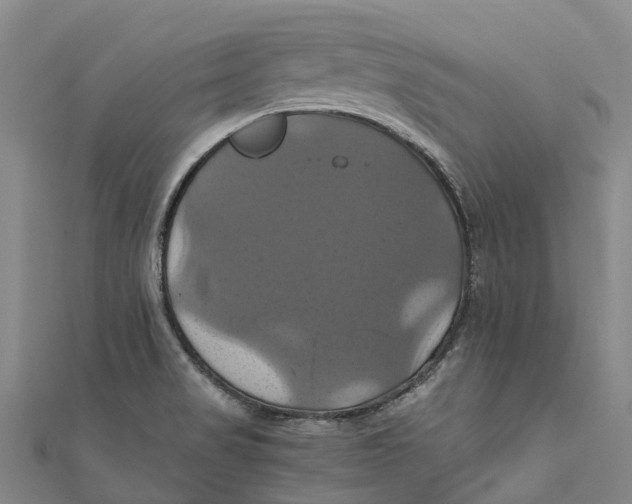 X0000110991517200907101420