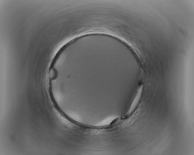 X0000110991519200907101420