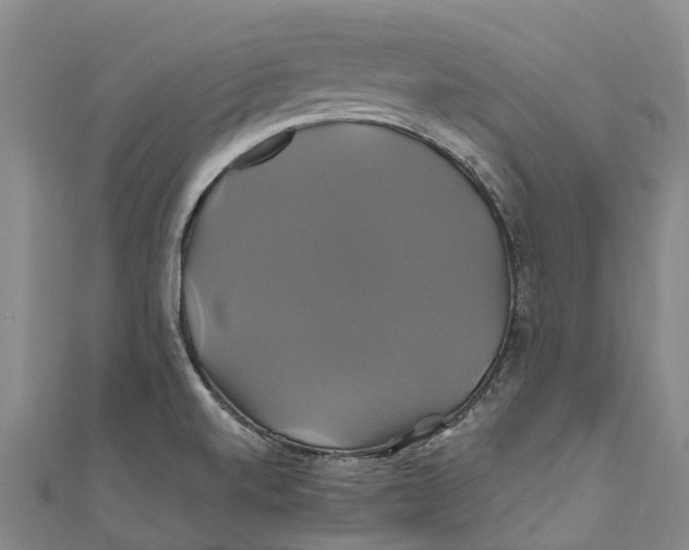 X0000110991520200907101420