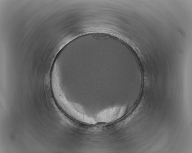 X0000110991521200907101420
