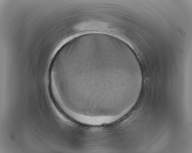 X0000110991523200907101420