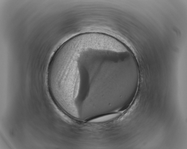 X0000110991525200907101420