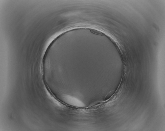 X0000110991527200907101420