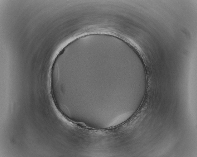 X0000110991528200907101420