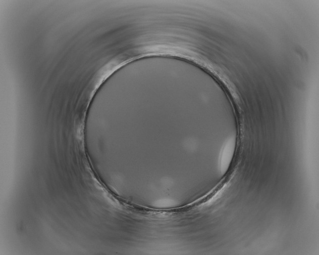 X0000110991529200907101420