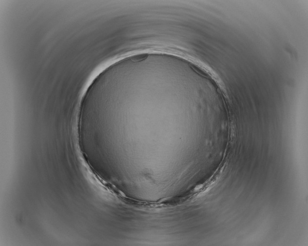 X0000110991530200907101420