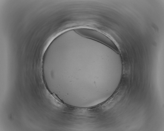 X0000110991532200907101420