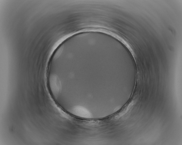 X0000110991533200907101420